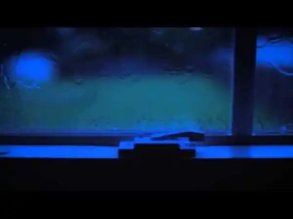 Video: Young Money Yawn - Rain Rain